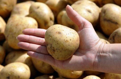 Ohne Kartoffeln gibt es keine Griebaschnecka. Foto: dpa