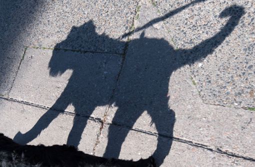 Ein Hund hat in Vaihingen/Enz zwei spielende Kinder attackiert. (Symbolfoto) Foto: dpa
