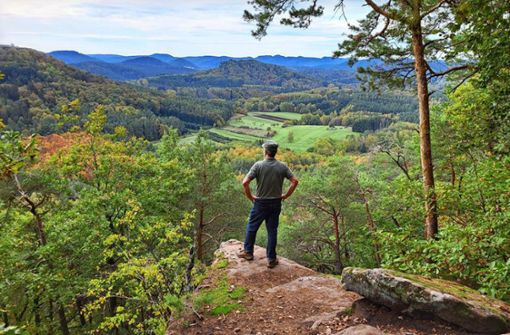 Die Tour bietet einmalige Aus- und Einblicke auf die wundersame Welt der Buntsandsteine im Pfälzer  Wald. Foto: Günther/Weinert