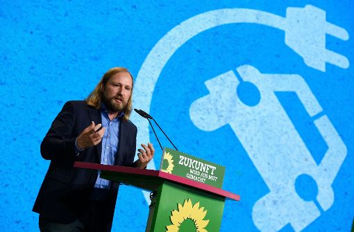 Der Klimaschutz sei „die zentrale Existenzfrage“, sagt Grünen-Fraktionschef Anton Hofreiter. Foto: dpa
