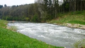 Bei Ertingen-Binzwangen darf die Donau natürlich fließen. Foto: LUBW