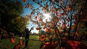 Der Herbst, der Herbst, der Herbst ist da – wir haben Tipps für die Ferien. Foto: Max Kovalenko