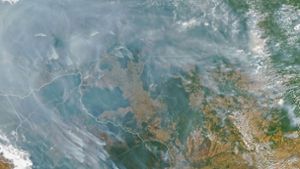 Schwere Brände im brasilianischen Regenwald
