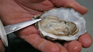 Erst zwei Mal habe ein Gast in dem New Yorker Restaurant eine Perle in einer Auster entdeckt (Symbolbild). Foto: dpa