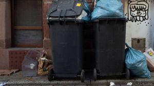 Sechs Wochen keine Müllabfuhr – was tun?