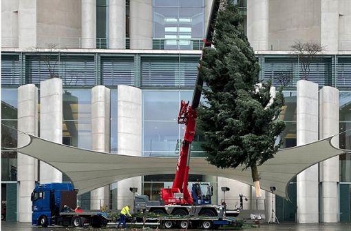 Der Weihnachtsbaum vor den Büros des Kanzleramts war im vergangenen Jahr eine Colorado-Fichte aus Thüringen. (Archivbild) Foto: dpa/Paul Zinken