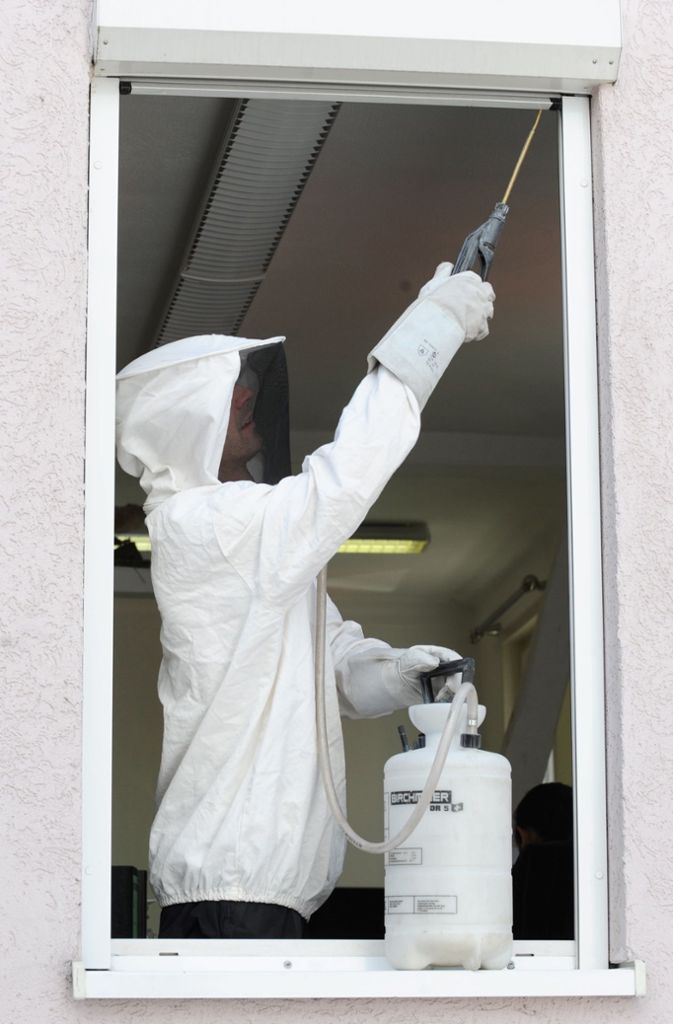 Ein Kammerjäger  steht mit einer Spritze und einem Schutzanzug im Fenster eines Büros in Stuttgart.
