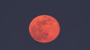 Der „Pink Moon“ ist ziemlich orange