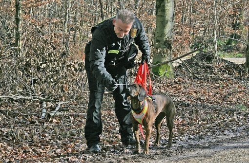 Nach der Ausbildung können die Personenspürhunde mit ihrer Nase eine Spur aufnehmen und verfolgen. Foto: Polizeipräsidium Einsatz