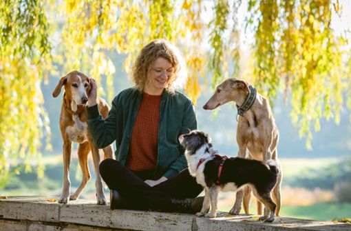 Hunde können uns glücklicher und entspannter machen. Foto: dpa/Silvana Kuhnert