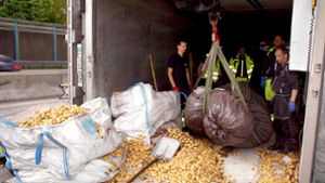 Aus dem verunglückten Sattelzug auf der A 8 werden Kartoffeln geborgen. Foto: Rosar