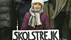 Greta Thunberg protestiert vor dem schwedischen Parlament. Foto: dpa
