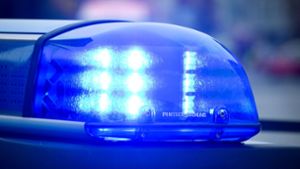 Die Polizei sucht Zeugen zu dem Diebstahl in Filderstadt. Foto: dpa