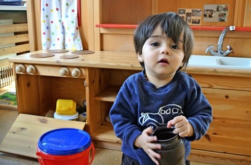Der einjährige Julian ist ein Hohenheimer Küken. Foto: Stefanie Käfferlein