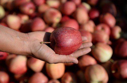 Aus Äpfeln lässt sich Leckeres wie beispielsweise Kuchen, Mus oder eben Saft herstellen. Foto: dpa