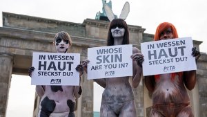 Als Fuchs, Kuh und Kaninchen angemalt haben am Dienstag drei Bodypaint-Künstlerinnen am Brandenburger Tor gegen Tierquälerei in der Modeindustrie protestiert. Foto: dpa