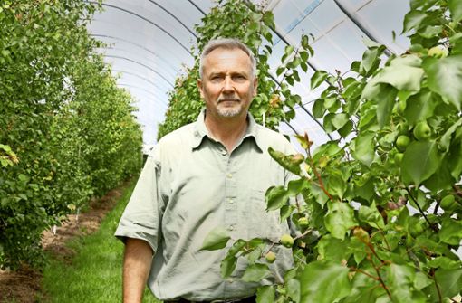 Manfred Büchele leitet das Kompetenzzentrum für Obstbau seit vielen Jahren. Foto:  