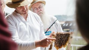 Tobias Miltenberger referiert bei einem Spaziergang der Stiftung Geißstraße über „Bienenvölker in der Großstadt“ Foto: Lichtgut/Verena Ecker
