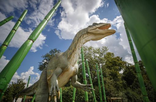 Will nur spielen: Ein Dino im Himmelsgarten von Schwäbisch Gmünd Foto: Gottfried Stoppel