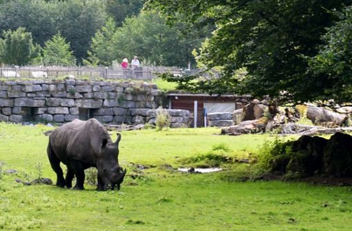 In der Nashornanlage des Salzburger Zoo hat sich am in der Früh ein tödlicher Unfall ereignet. „Eine Pflegerin ist zu Tode gekommen, eine zweite Person wurde schwer verletzt“, sagte ein Polizeisprecher. Foto: Barbara Gindl/APA/dpa