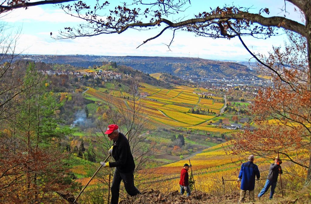 Die Ortsgruppe Fellbach des Schwäbischen Albvereins kümmert sich auch um die Pflege des Naturschutzgebiets „Hinterer Berg“ auf dem Kappelberg. Foto: Privat