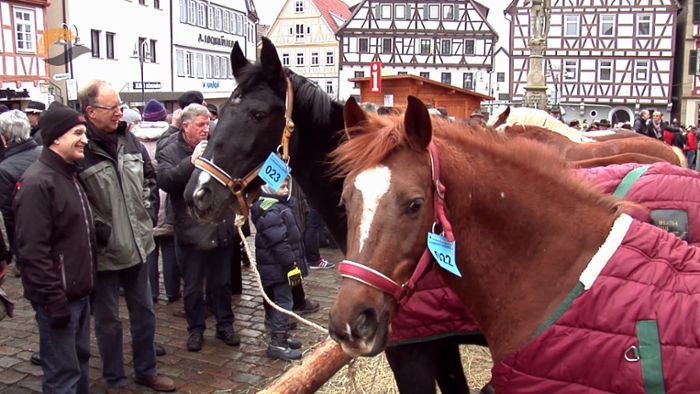 Der Pferdemarkt 2015