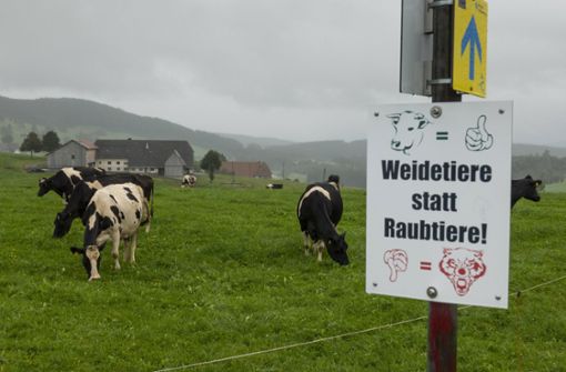 Protestplakat eines Bauern gegen Wölfe im Schwarzwald auf einer Rinderweide Foto: imago//Volker Hohlfeld