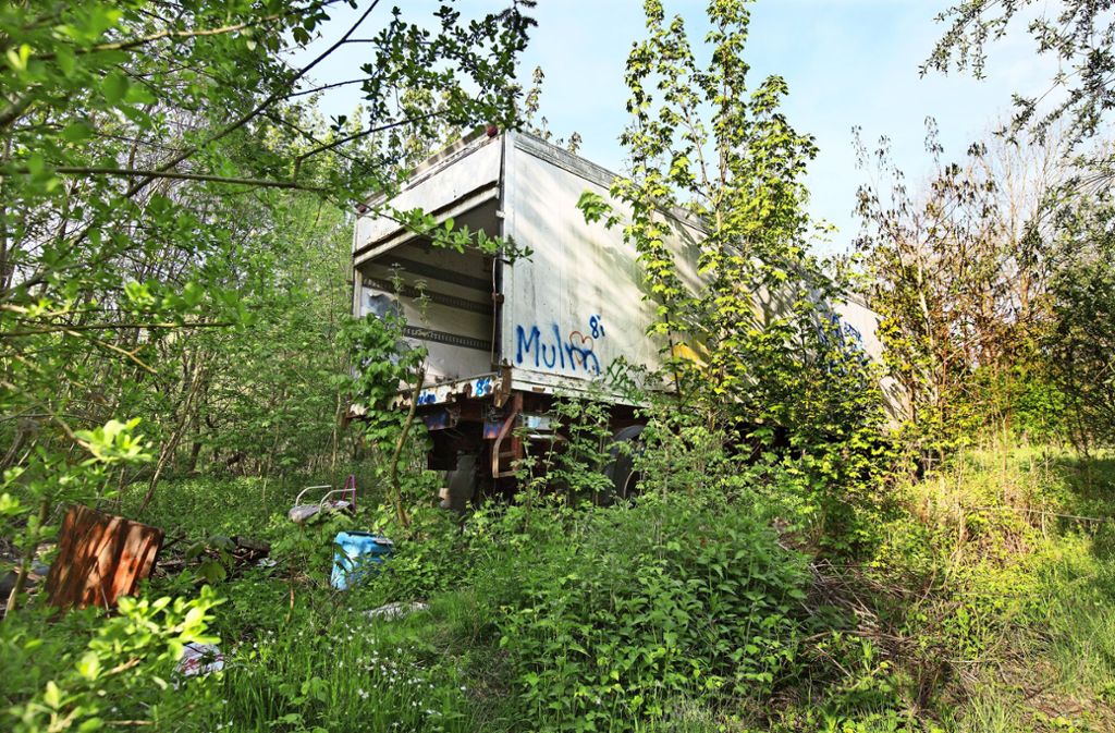 Der seit  Jahren im Wald stehende Lastwagenanhänger ist das markanteste Müllexponat in dem ehemaligen Schieferbruch.