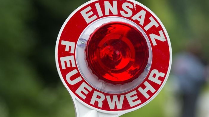 Friedrich-Schiller-Gymnasium nach Brandalarm evakuiert