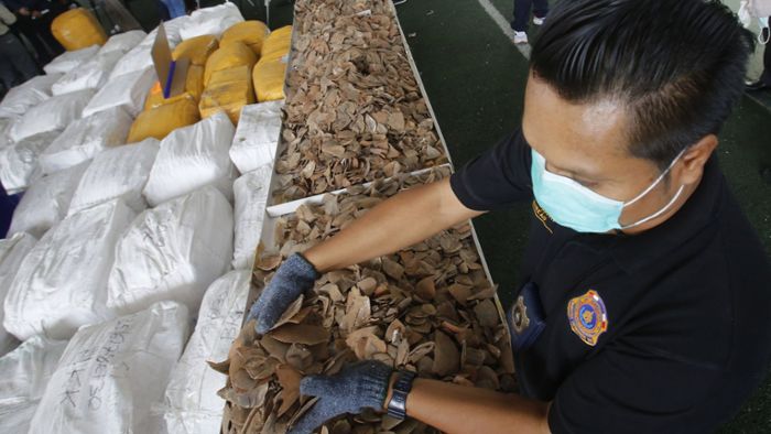 Drei Tonnen exotische Schuppen in Thailand entdeckt