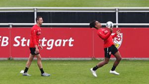 Bisher wird beim VfB Stuttgart in Kleingruppen trainiert – wann ändert sich das? Foto: Baumann