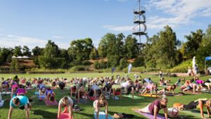 Sport im Freien – wie hier Yoga im Tal der Rosen im Höhenpark Killesberg – steht am Wochenende nichts im Weg. (Archivfoto) Foto: Lichtgut/Ines Rudel