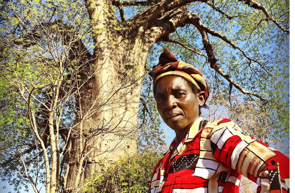 Die alleinerziehende Mutter Esther Kathumba sammelt  säckeweise die Früchte des Baobab – das sichert ihr Einkommen  und reicht für das Schulgeld der Kinder.Der Affenbrotbaum ist ihr Leben: Adija Foloko
