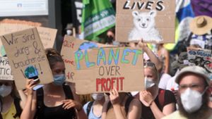 Drei Demozüge zum globalen Klimastreik