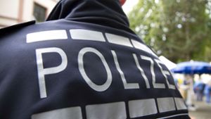 Die Polizei fahndet nach der vermissten Acelya K. aus Gäufelden-Öschelbronn. Foto: Eibner-Pressefoto/Fleig / Eibner-Pressefoto