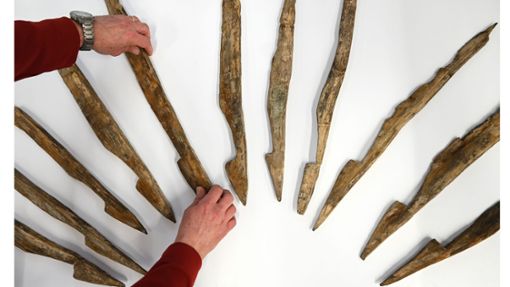 Im Leibniz-Zentrum für Archäologie in Mainz  werden die angespitzten Holzpfähle aus einem römischen Verteidigungsgraben aus dem 1. Jahrhundert n. Chr. präsentiert. Foto: dpa/Arne Dedert
