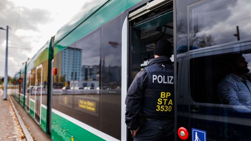 Ein Beamter kontrolliert einen Zug, der aus Basel kommt. Foto: dpa/Philipp von Ditfurth