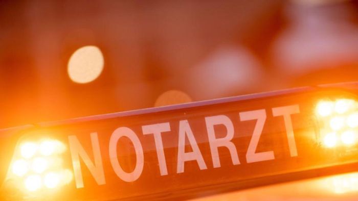 Unfall bei Hochdorf: Bei Gegenverkehr Linienbus überholt