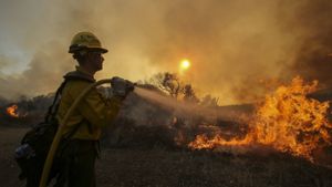Feuerwehrmänner in Kalifornien kämpfen gegen die Waldbrände an. Foto:  