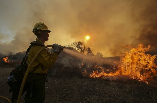 Feuerwehrmänner in Kalifornien kämpfen gegen die Waldbrände an. Foto:  
