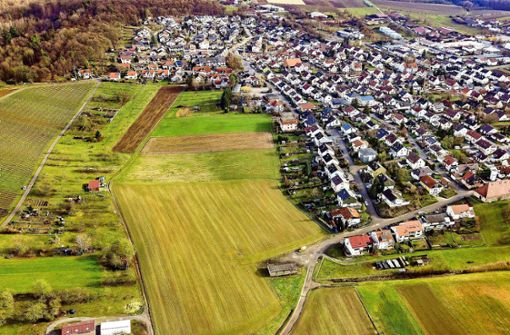 Das neue Wohngebiet in Rielingshausen soll  im Anschluss an die bestehende Siedlung entstehen. Foto: KS-Images.de