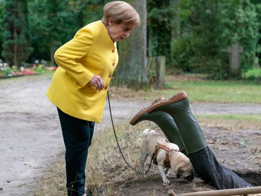 Fortsetzung für Miss Merkel: Angela (Katharina Thalbach) und Mops Helmut finden eine Leiche. Foto: RTL / Oliver Feist