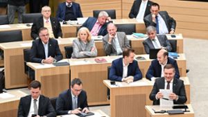 Baden-Württmeberg: AfD scheitert zum zehnten Mal bei Wahl für Landeszentrale