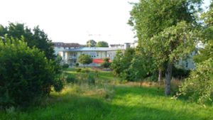 Oberhalb vom Haus Martinus entsteht  das Pflegeheim Seegärten. Foto: / Schmidt/Modell: Büro Ernst