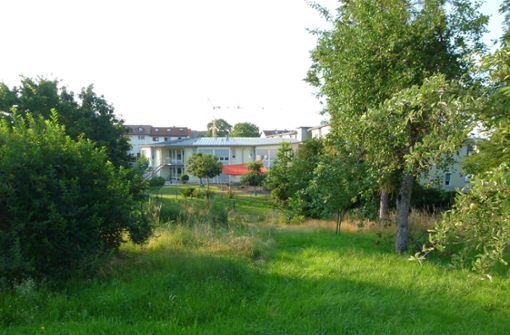 Oberhalb vom Haus Martinus entsteht  das Pflegeheim Seegärten. Foto: / Schmidt/Modell: Büro Ernst