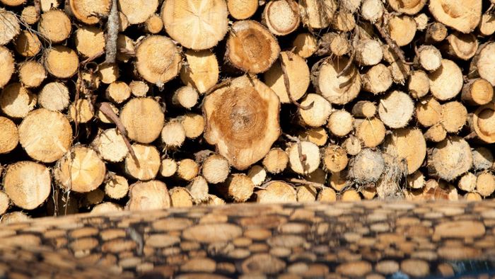 Wie läuft der Verkauf von Holz im Corona-Jahr?