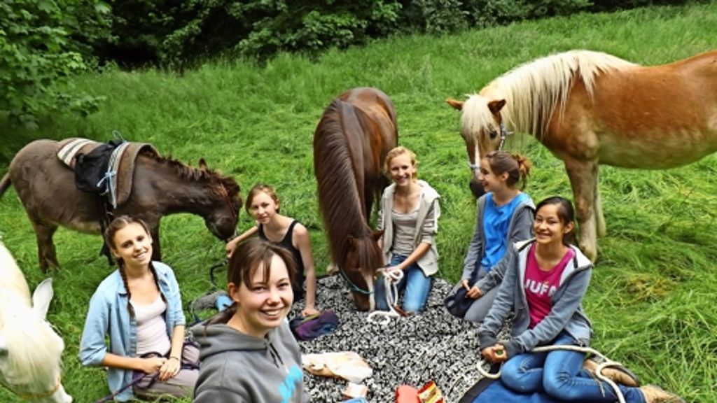 Die Jugendfarm in Stuttgart-Birkach wird 40: Unsere kleine Farm