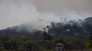 Waldbrände im Amazonasgebiet: Wald dient als Speicher für Kohlenstoff  – doch wenn er abbrennt, werden große Mengen CO2 frei. Foto: imago/ZUMA Wire/Fernando Souza