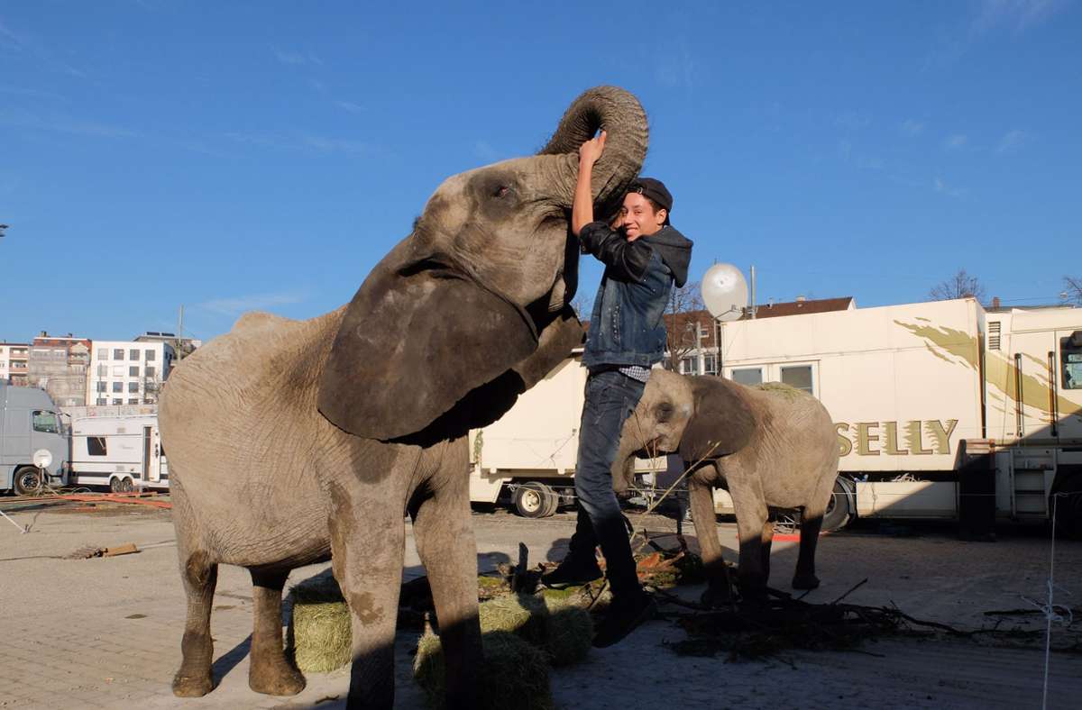 René Casselly im Jahr 2015 beim Weltweihnachtscircus. Der 18-Jährige spielte mit den Elefanten, mit denen er von klein auf vertraut ist.