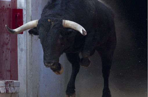 Ein Stier hat einen Torero in Madrid auf die Hörner genommen (Symbolbild) Foto: dpa/Jim Hollander